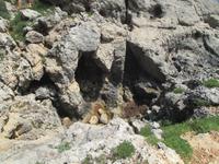 Wanderung von Es Migjorn Gran an den Strand von Cala Galdana