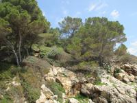 Wanderung von Es Migjorn Gran an den Strand von Cala Galdana