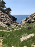 Wanderung von Es Migjorn Gran an den Strand von Cala Galdana