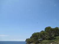 Wanderung von Es Migjorn Gran an den Strand von Cala Galdana