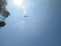 Wanderung von Es Migjorn Gran an den Strand von Cala Galdana