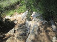 Wanderung von Es Migjorn Gran an den Strand von Cala Galdana
