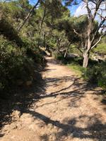 Wanderung von Es Migjorn Gran an den Strand von Cala Galdana