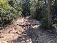 Wanderung von Es Migjorn Gran an den Strand von Cala Galdana