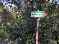 Wanderung von Es Migjorn Gran an den Strand von Cala Galdana