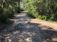 Wanderung von Es Migjorn Gran an den Strand von Cala Galdana