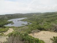 Wanderung im Naturpark S'Albufera von Favaritx nach Es Grau