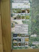 Wanderung im Naturpark S'Albufera von Favaritx nach Es Grau