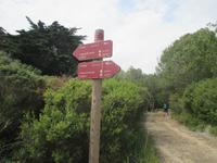 Wanderung im Naturpark S'Albufera von Favaritx nach Es Grau