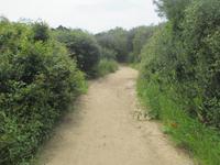 Wanderung im Naturpark S'Albufera von Favaritx nach Es Grau