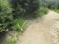 Wanderung im Naturpark S'Albufera von Favaritx nach Es Grau