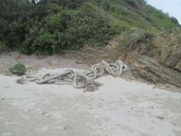 Wanderung im Naturpark S'Albufera von Favaritx nach Es Grau