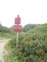 Wanderung im Naturpark S'Albufera von Favaritx nach Es Grau