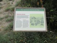 Naturpark S'Albufera