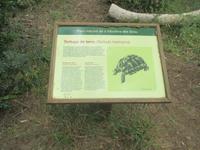 Naturpark S'Albufera