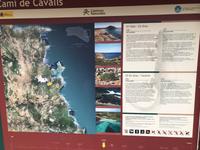 Naturpark S'Albufera