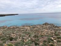 Spaziergang in Cala Blanca auf dem 