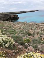 Spaziergang in Cala Blanca auf dem 