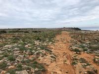 Spaziergang in Cala Blanca auf dem 