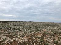Spaziergang in Cala Blanca auf dem 