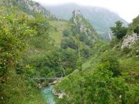 Auf dem Weg nach Arenas de Cabrales (1)