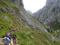 Cares Schlucht Wanderung in Picos de Europa (4)