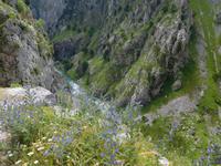 Cares Schlucht Wanderung in Picos de Europa (30)