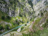 Cares Schlucht Wanderung in Picos de Europa (39)