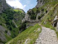 Cares Schlucht Wanderung in Picos de Europa (41)