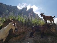 Cares Schlucht Wanderung in Picos de Europa (45)