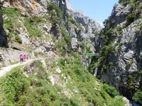 Cares Schlucht Wanderung in Picos de Europa (46)