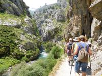 Cares Schlucht Wanderung in Picos de Europa (48)