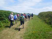 Insel Ons Tagesausflug mit Wanderung (16)