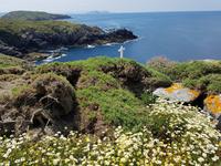 Insel Ons Tagesausflug mit Wanderung (19)