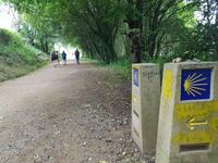 Jakobsweg Wanderung von Arzua bis O Pino (1)