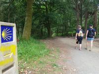 Jakobsweg Wanderung von Arzua bis O Pino (2)