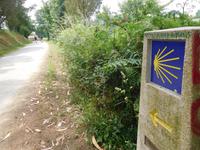 Jakobsweg Wanderung von Arzua bis O Pino (5)