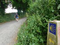 Jakobsweg Wanderung von Arzua bis O Pino (6)