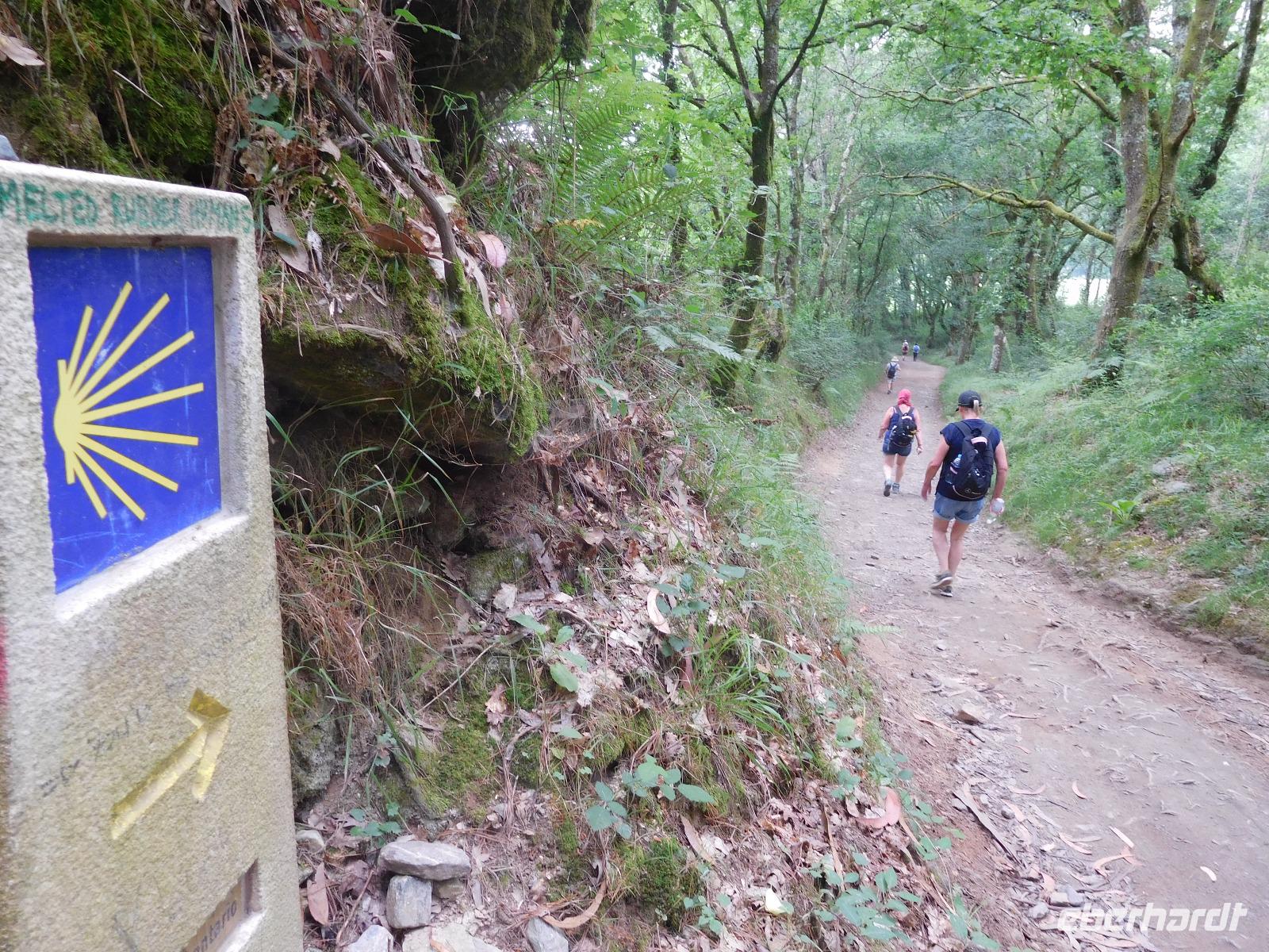 Jakobsweg Wanderung von Arzua bis O Pino (8)