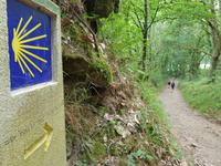 Jakobsweg Wanderung von Arzua bis O Pino (12)