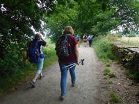Jakobsweg Wanderung von Arzua bis O Pino (13)