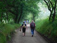 Jakobsweg Wanderung von Arzua bis O Pino (14)