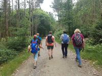 Jakobsweg Wanderung von Arzua bis O Pino (15)