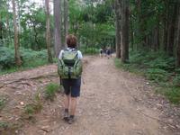 Jakobsweg Wanderung von Arzua bis O Pino (16)