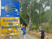 Jakobsweg Wanderung von Arzua bis O Pino (18)