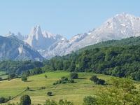 Naranjo del Bulnes - Wahrzeichen von Picos de Europa (3)
