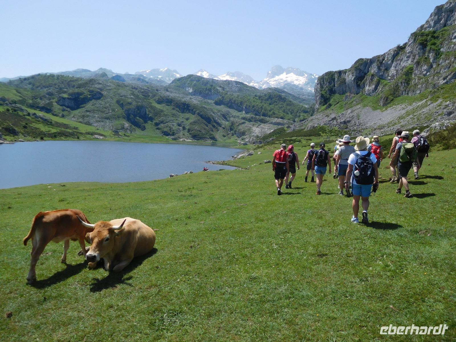 Wanderung in Covadonga um die Gletscherseen herum (11)