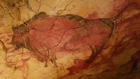 Altamira Steinzeithöhle (3)