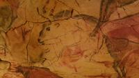 Altamira Steinzeithöhle (5)
