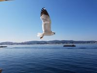 Verkostung auf der Halbinsel O'Grove